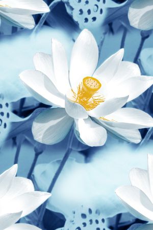 素雅印花花型图片