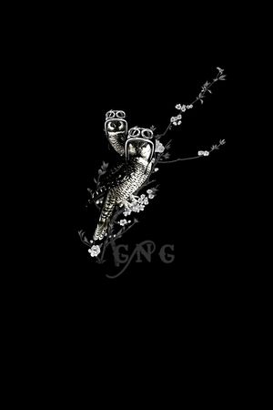猫头鹰印花花型图片