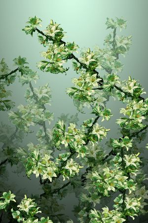 定位花印花花型图片