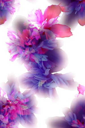 数码花型印花花型图片