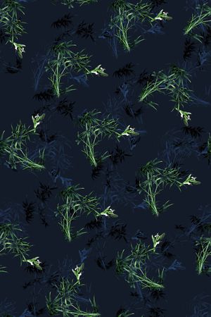 鸟印花花型图片