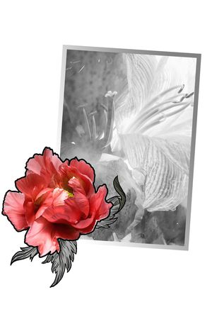 百合印花花型图片
