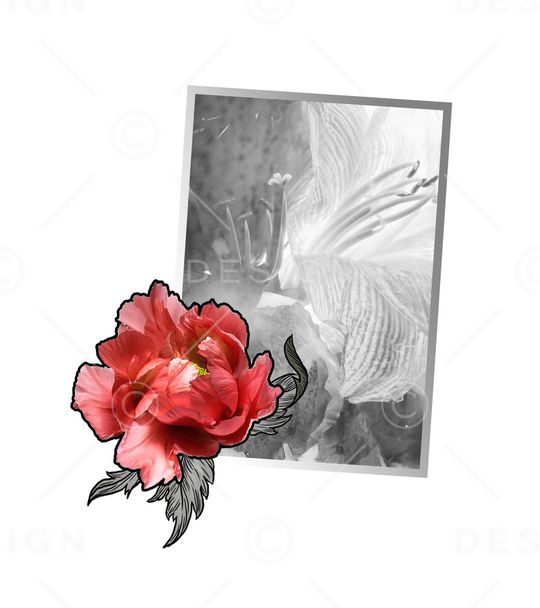百合印花花型图片