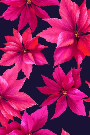 牡丹印花花型图片