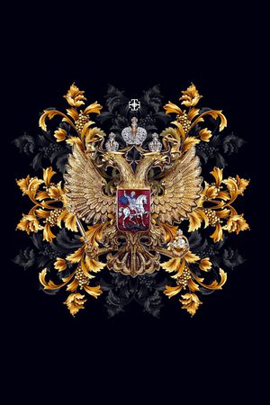 男T印花花型图片