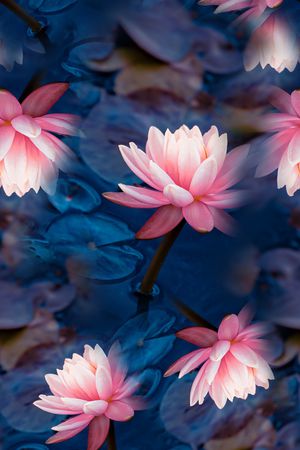 印花印花花型图片