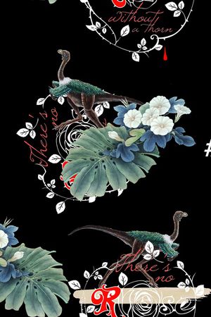 男装印花花型图片