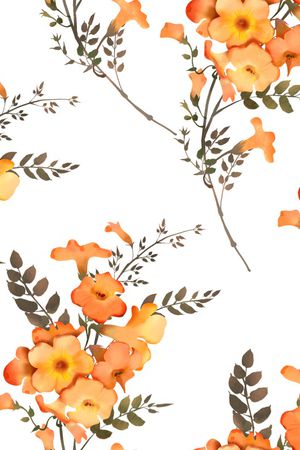 花卉印花花型图片