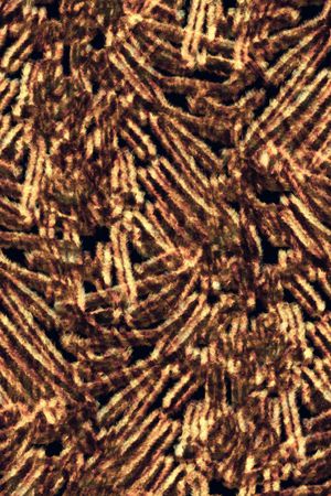 肌理印花花型图片