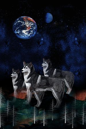 星空印花花型图片