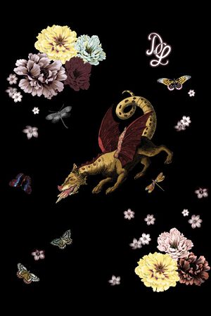 男装印花花型图片