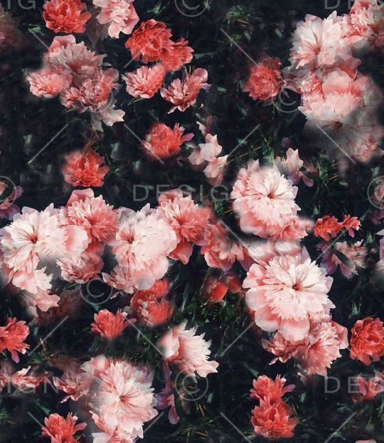 黑底花卉印花花型图片