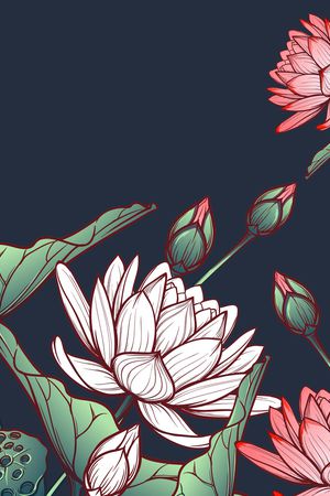 荷花印花花型图片