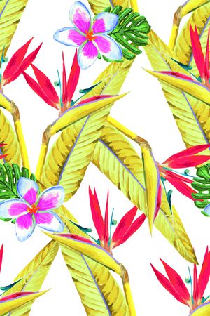 凤尾花印花花型图片