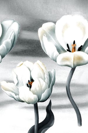郁金香印花花型图片