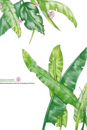 绿植树叶印花花型图片