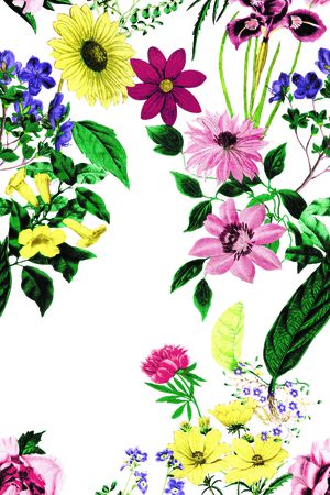 淑女印花花型图片