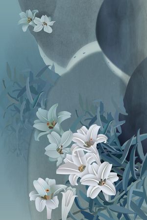 女装印花花型图片