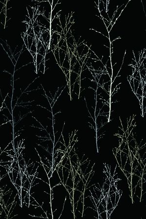 抽象印花花型图片