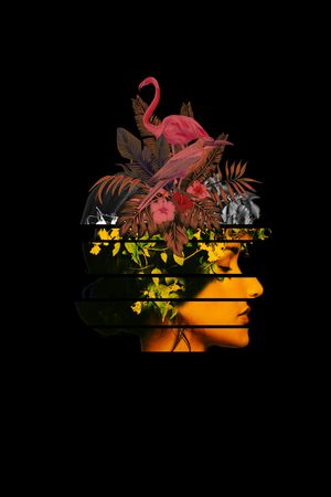 鸟印花花型图片