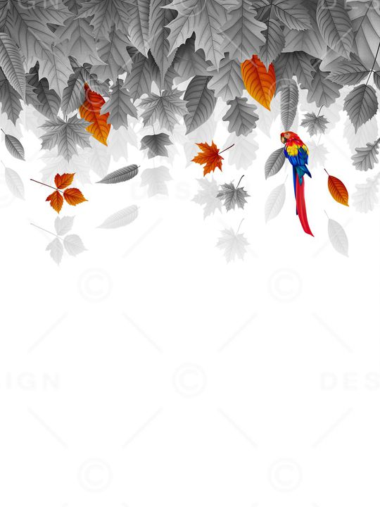 花鸟印花花型图片