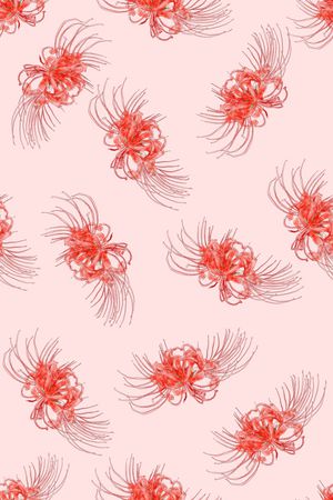 女装印花花型图片