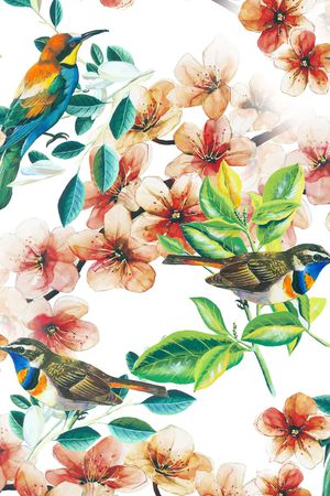 鸟印花花型图片