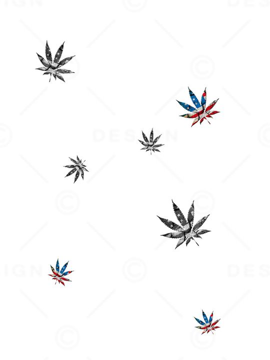 大牌风印花花型图片