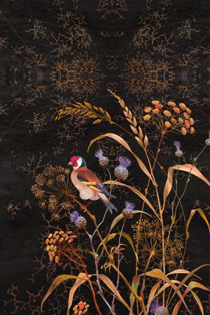 花鸟印花花型图片