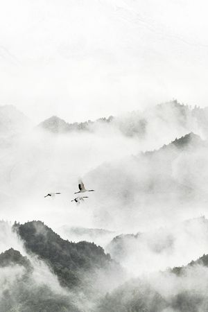 仙鹤印花花型图片