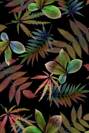 花瓣印花花型图片