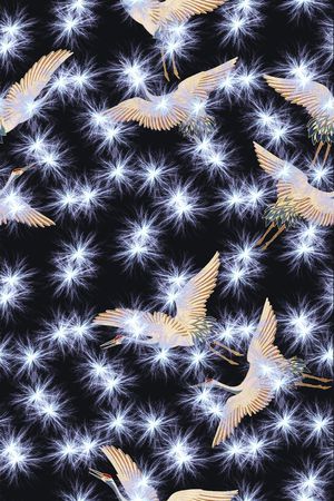 星空印花花型图片