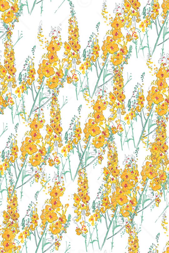 花瓣印花花型图片