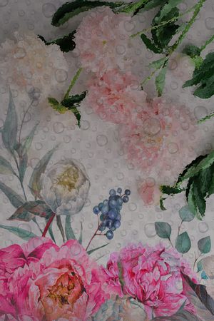 女装印花花型图片