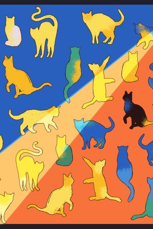 猫印花花型图片