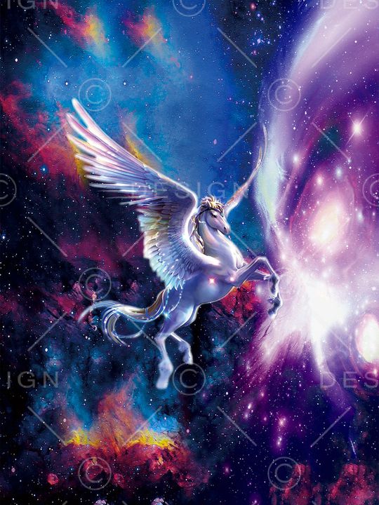 星空印花花型图片