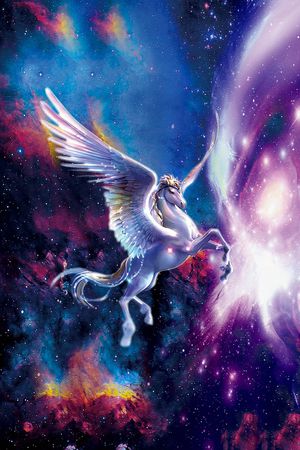 星空印花花型图片