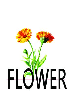 时尚印花花型图片