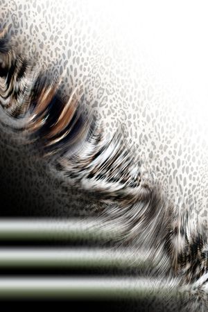 leopard印花花型图片