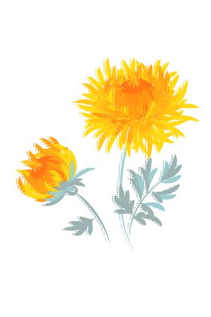 菊花印花花型图片