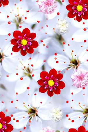 数码花型印花花型图片