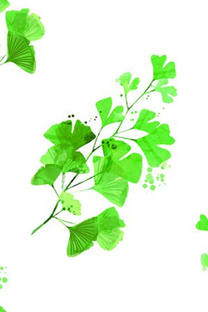数码花型印花花型图片