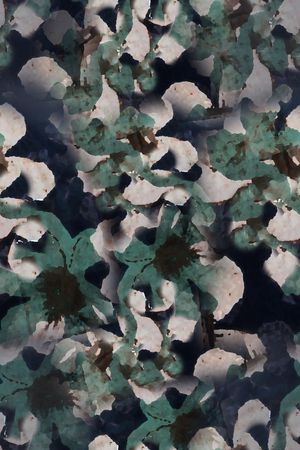 植物印花花型图片