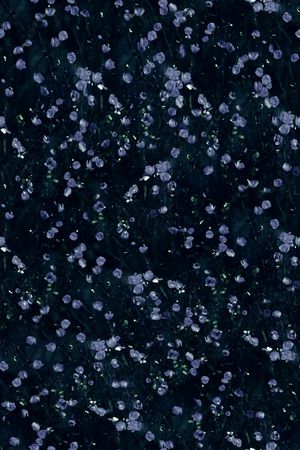数码花型印花花型图片