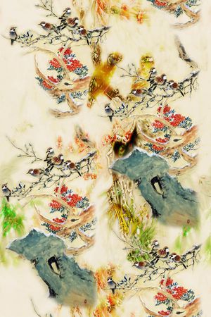 女装印花花型图片