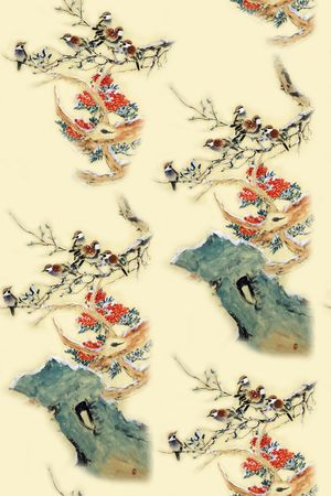 女装印花花型图片