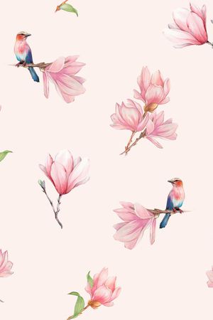 女装印花花型图片