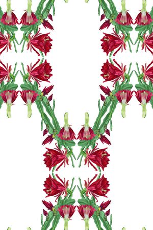 数码花型印花花型图片
