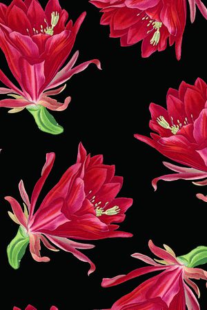仙人掌花卉印花花型图片