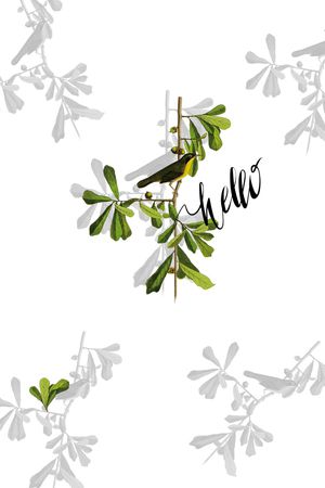 花卉印花花型图片
